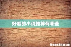好看的小说推荐有哪些