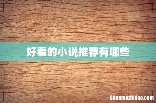 好看的小说推荐有哪些