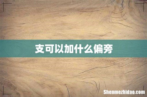 支可以加什么偏旁