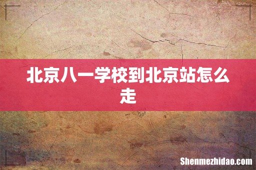北京八一学校到北京站怎么走