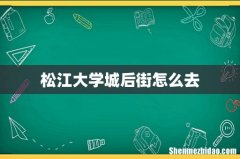 松江大学城后街怎么去