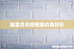 赵雷月亮粑粑唱的真好听