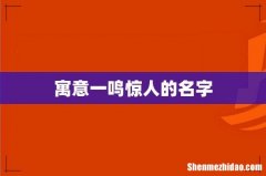 寓意一鸣惊人的名字