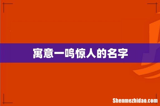 寓意一鸣惊人的名字