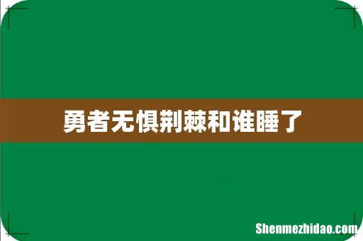 勇者无惧荆棘和谁睡了
