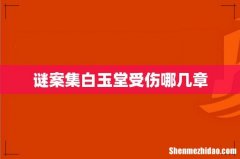 谜案集白玉堂受伤哪几章