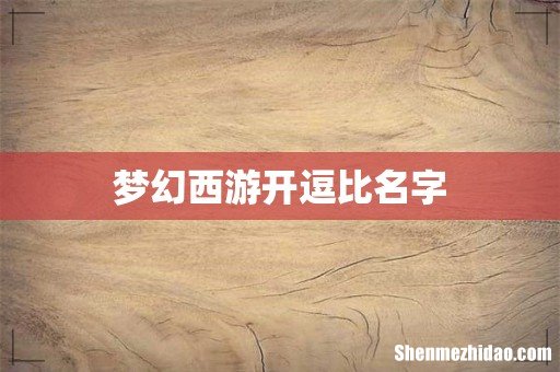 梦幻西游开逗比名字