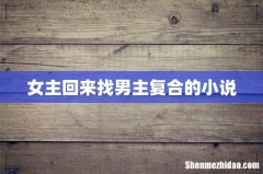 女主回来找男主复合的小说