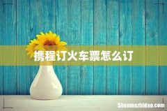 携程订火车票怎么订
