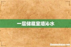 一层储藏室墙沁水