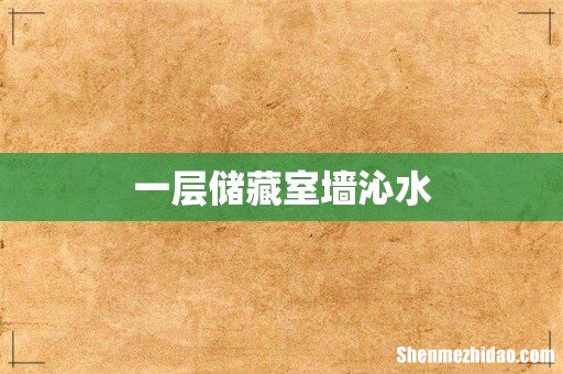 一层储藏室墙沁水