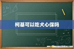 柯基可以吃犬心保吗
