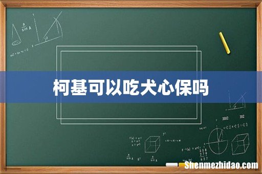 柯基可以吃犬心保吗