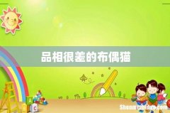 品相很差的布偶猫