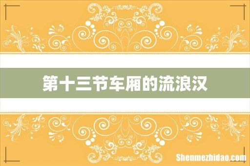 第十三节车厢的流浪汉