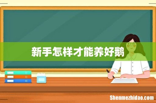 新手怎样才能养好鹅