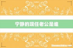 宁静的现任老公是谁