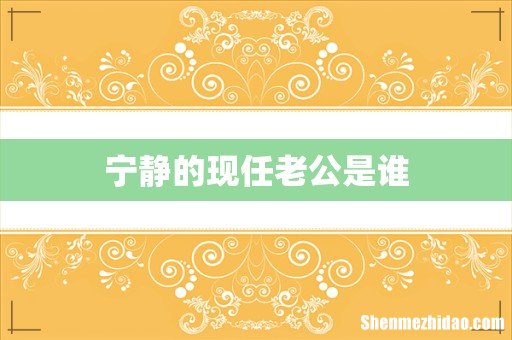 宁静的现任老公是谁