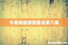 午夜蝴蝶廖国香是第几集