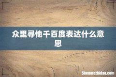 众里寻他千百度表达什么意思