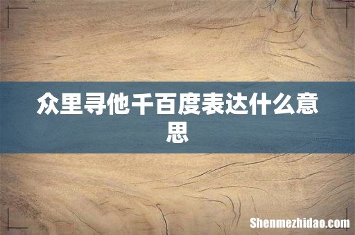 众里寻他千百度表达什么意思