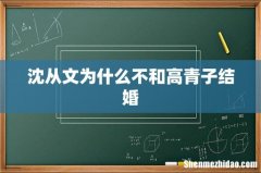 沈从文为什么不和高青子结婚