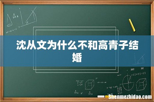 沈从文为什么不和高青子结婚