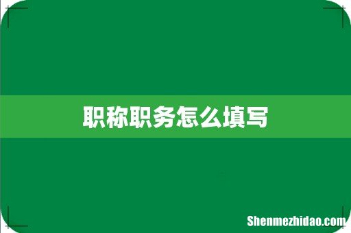 职称职务怎么填写