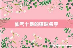 仙气十足的猫咪名字