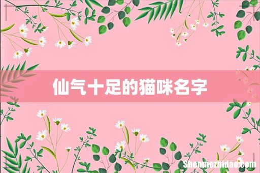 仙气十足的猫咪名字