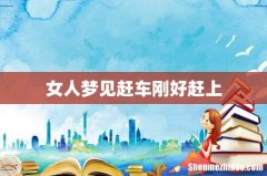 女人梦见赶车刚好赶上