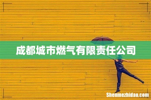成都城市燃气有限责任公司