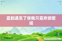 直到遇见了你我只喜欢你歌词