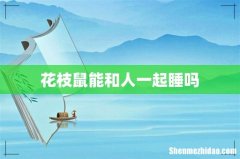 花枝鼠能和人一起睡吗