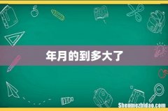 年月的到多大了
