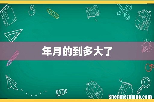 年月的到多大了
