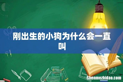 刚出生的小狗为什么会一直叫