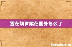 雪在烧罗柔在国外怎么了