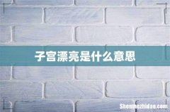 子宫漂亮是什么意思