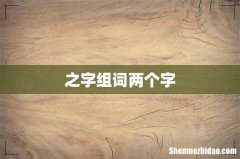 之字组词两个字