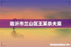 临沂市兰山区王某杀夫案