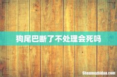 狗尾巴断了不处理会死吗