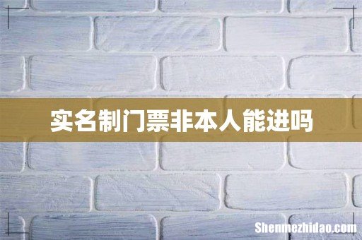 实名制门票非本人能进吗