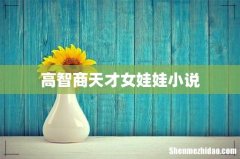 高智商天才女娃娃小说