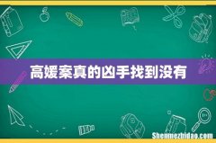 高媛案真的凶手找到没有