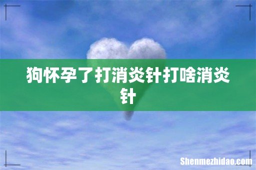 狗怀孕了打消炎针打啥消炎针