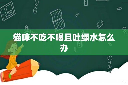 猫咪不吃不喝且吐绿水怎么办