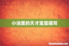 小说里的天才宝宝描写