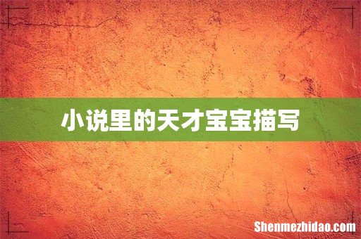 小说里的天才宝宝描写
