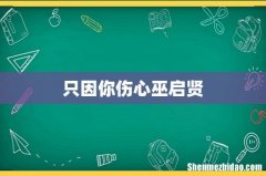 只因你伤心巫启贤